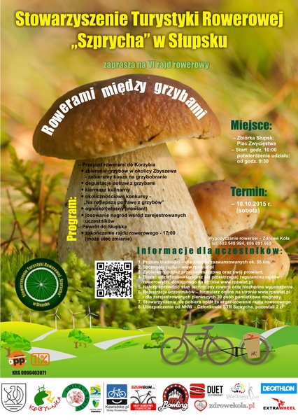 KORZYBIE_2015m