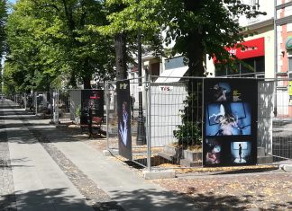 widoka na ul wojska polskiego i plansze z wielkoformatową wystawę fotograficzną umieszcona na duzych nosnikach -stalowych bramkach ustawionych wokół drzew w formie kwadratów