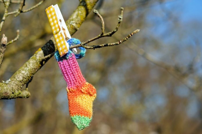 Na zdjęciu widać bezlistną gałązkę drzewa. Klamerką przyczepiona do niej jest kolorowa skarpetka.